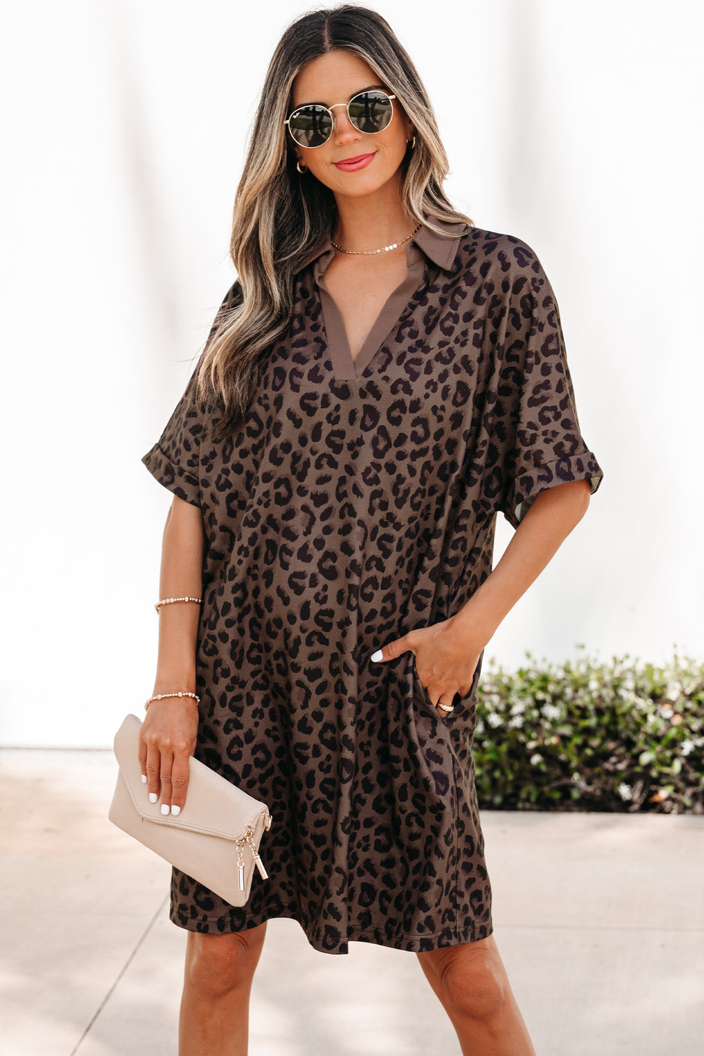 Brown Leopard Print Contrast Collar V-Neck Mini Dress